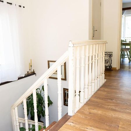 M&B Apartment Kotor Dış mekan fotoğraf