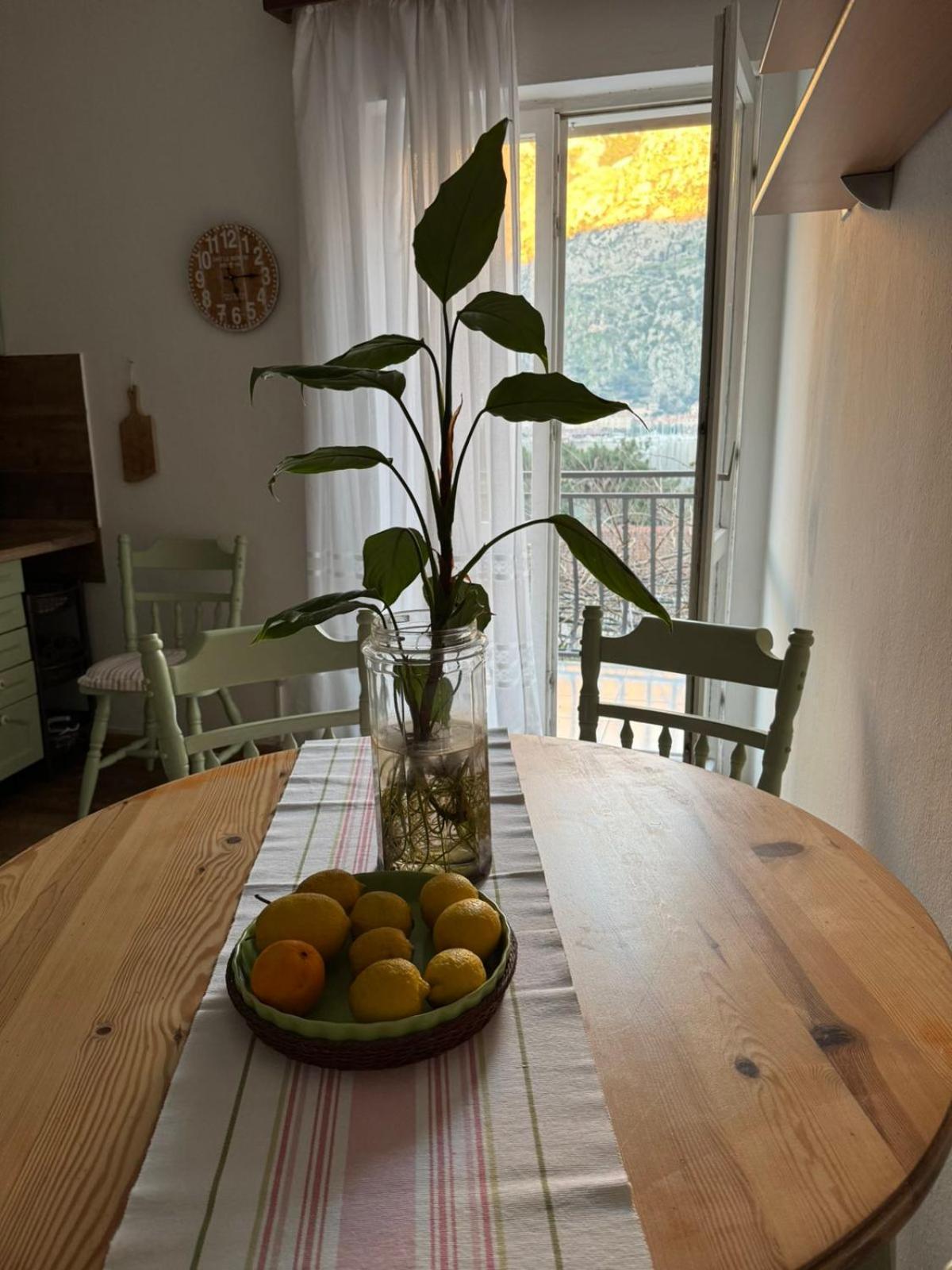 M&B Apartment Kotor Dış mekan fotoğraf