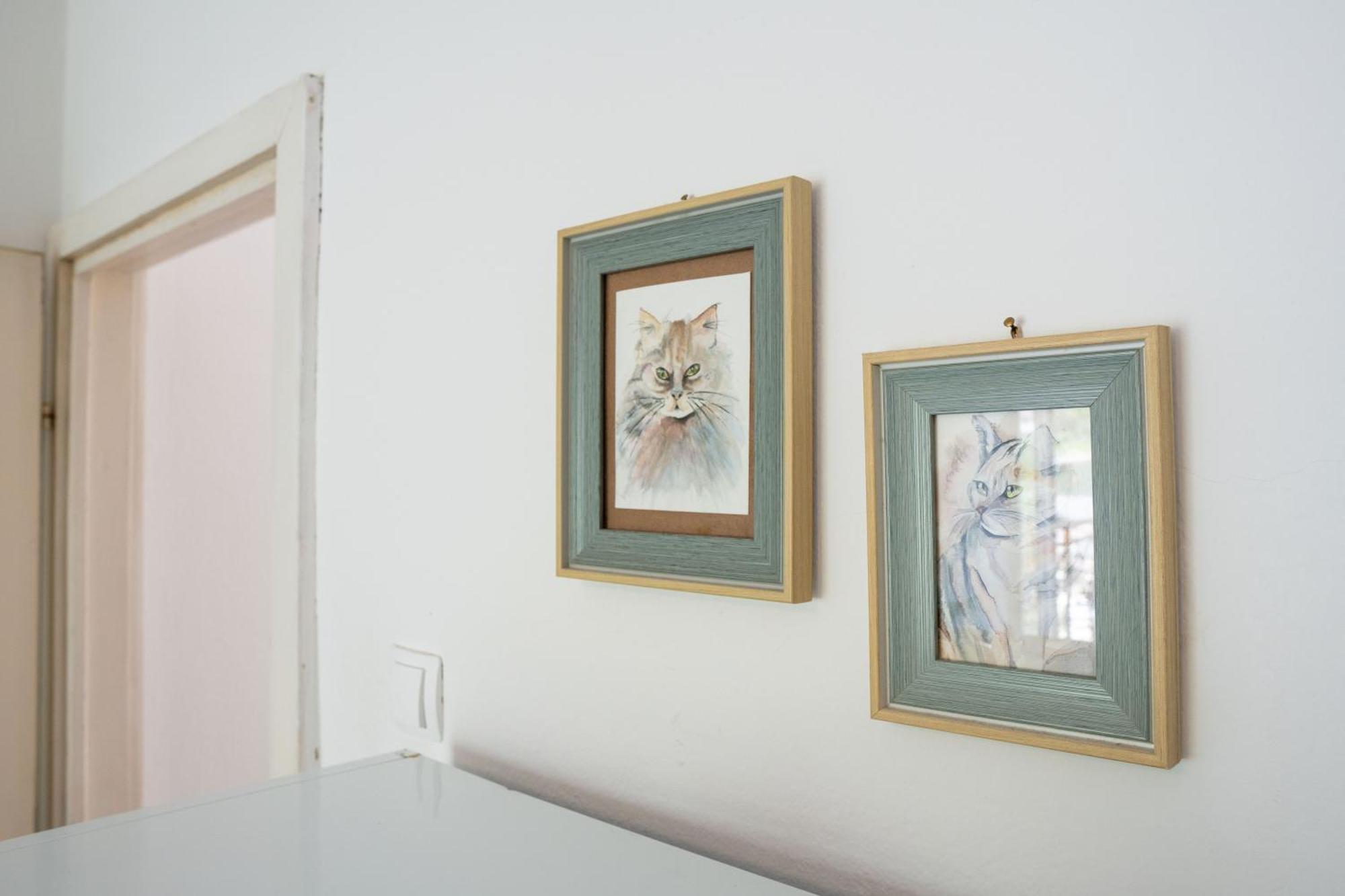 M&B Apartment Kotor Dış mekan fotoğraf